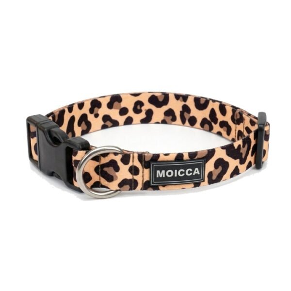 Collar Animal Print